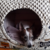 Cama Iglu Impermeável Bege Pets - Mia&Au