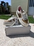 zapatillas