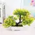 Imagem do Plantas artificiais bonsai