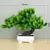 Plantas artificiais bonsai