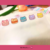 CARPETA EN L A4 - MACARON CATS - Pink Apple