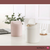 Imagen de Mini Cesto Clean&Cute