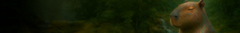 Banner da categoria Sleeves
