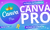 CANVA PRO EQUIPES | MELHOR PREÇO DA INTERNET (ENVIO VIA WHATSAPP) | BARATO | PROMOÇÃO - comprar online