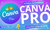 CANVA PRO EQUIPES | MELHOR PREÇO DA INTERNET (ENVIO VIA WHATSAPP) | BARATO | PROMOÇÃO - SRMODID STORE