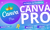 CANVA PRO | MENSAL | ANUAL | O MAIS BARATO DA INTERNET (ENTREGA AUTOMÁTICA) COM SEU EMAIL - comprar online