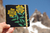 Libretas "4 Elementos" - comprar online