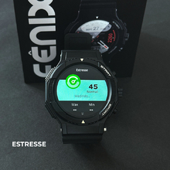 SMARTWATCH FÊNIX WEARZONE na internet