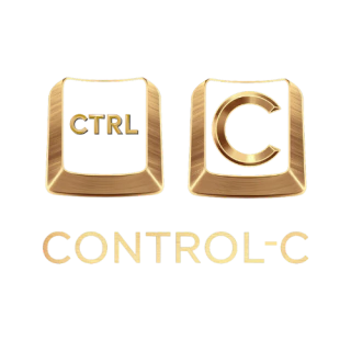 Control-C