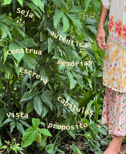 Carrossel 1