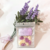 ♡ Lavanda Provençal - Essentials ♡