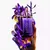 Alien Mugler Feminino Eau de Parfum 60ml | Perfume Original Mugler