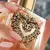Devotion Dolce & Gabbana Feminino EDP 100ml | Perfume Elegante