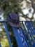 FIVE PANEL PRETO na internet
