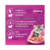 Ração Úmida Whiskas Sachê para Gatos Filhotes Sabor Frango ao Molho - 85g - Fofura de Pelo