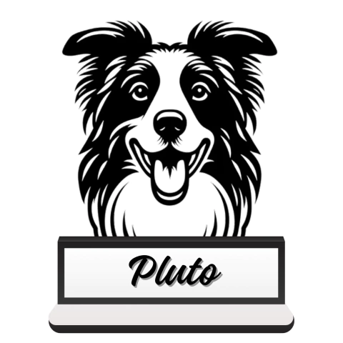 Border Collie 2 - comprar online