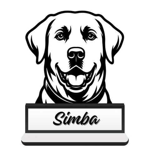 Labrador 3