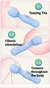 BlueZen™ - Potente vibrador AV para mujeres, pezón, punto G, estimulador de clítoris, con - BlueZen Lamp
