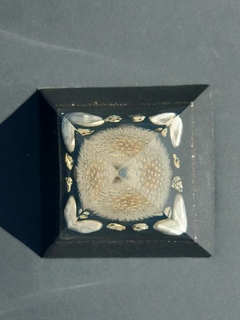 Pirâmide Orgonite Dente de Leão 10cm com Nanotecnologia Preta na internet