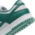 Dunk Low SB