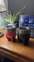 Mate Imperial – Cuero Croco | Interior de Acero - comprar online