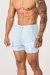 Youngla - Legacy Shorts - comprar en línea