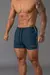 YoungLA - Swim Shorts - Haverst Appare