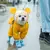 Capa de chuva cachorro