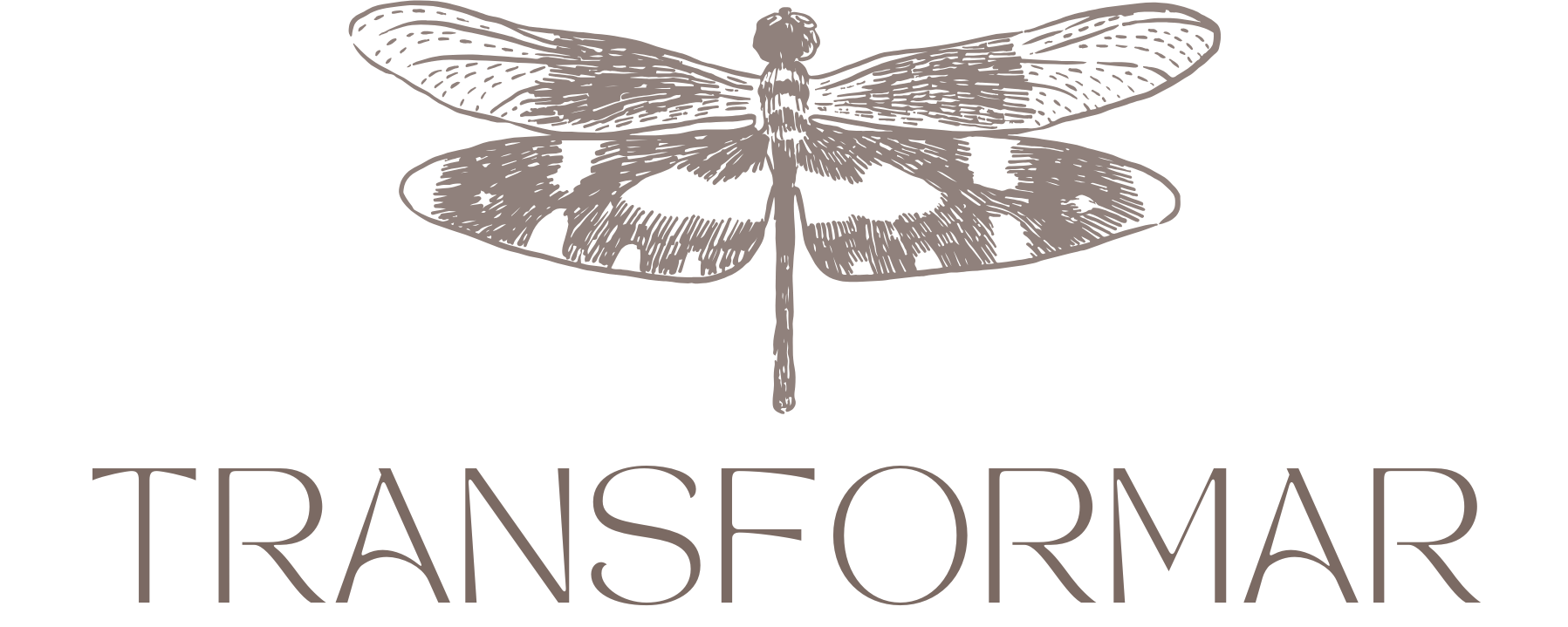 Bazar Transformar