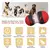 IQ Indoor Training Toy para Animais de Estimação, Slow Feeder, Puppy Toys, Pequenos, Médios, Grandes Cães, Gatos, Melhorar, Chihuahua, Beagle, Pet Supplies - comprar online