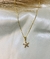 Colar estrela com brilho