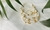 Pulseiras Praiana branca