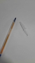 Bic Trazo FIno