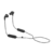 Auricular Endurance Run 2