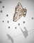 PIRANHA BUTTERFLY - Metal - comprar online
