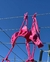 BIKINI VELVET FUSCIA - tienda online