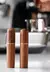 Aço Inoxidável Café Em Pó Tamper, Espresso Pó Agitador, Niveler Distribuido - RDSsilva