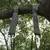 Outdoor Swing Hammock com cinto de segurança, Kit Strap durável, saco portátil, adequado para todos os tipos de acessórios Swing - comprar online