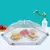 Foldable Food Covers Mesa de Jantar Mesh Cover Casa Anti Fly Mosquito Tent Umbrella Picnic Protect Net Cozinha Acessórios - comprar online