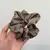 Mais novo mulher grande elegante seda elásticos faixa de cabelo cor sólida scrunchies laços de cabelo senhoras rabo de cavalo segurar acessórios para o cabelo - comprar online