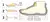 Sapatos masculinos casuais de couro genuíno, sandálias masculinas ao ar livre, sapatos romanos de praia, plus size 38-48, verão - RDSsilva