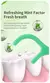Mint Dental Floss Sticks para Adultos, Ultra-Fine Flosser, Home Set, Palito Portátil, Fio, Caixa de Fio Dental, 300pcs na internet