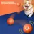 Bola Pet - comprar online