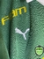 PALMEIRAS 24’ en internet
