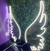 Asas De Anjo Em Neon Led 60cm Luminária Decoração - loja online