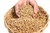 Granulado Higiênico Para Gatos 20kg - comprar online