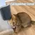 Massageador Cat Scratcher para animais de estimação, cães e gatos - Quali Variedades