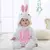 Pijama Animal, Bebês, Meninos e Meninas na internet