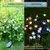 Luzes de Jardim, com bateria solar, exterior impermeável. - loja online