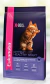 Eukanuba Gato Kitten
